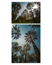 Load image into Gallery viewer, PSITHURISM featuring AREESH ZUBAIR
